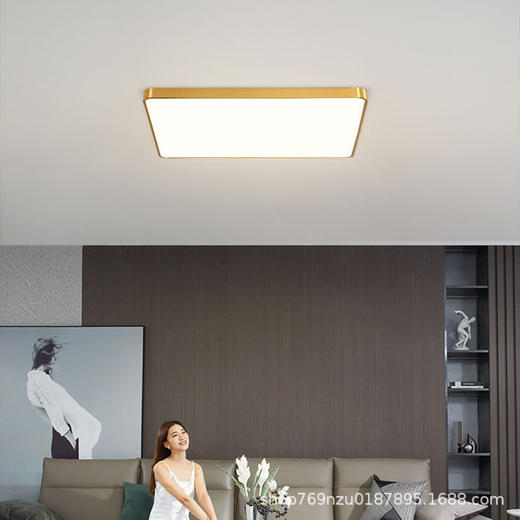 全铜过道LED阳台纯铜北欧灯具卧室客厅美式吸顶灯轻奢超薄圆形 商品图1