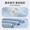 洁丽雅超大纯棉浴巾酒店加厚新疆棉精梳棉吸水居家洗澡巾柔软亲肤 商品缩略图4
