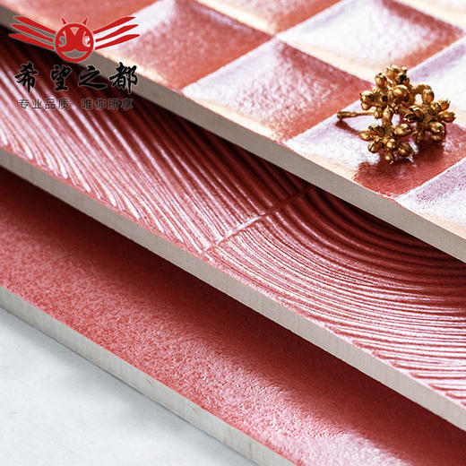 佛山花砖阳台复古瓷砖卫生间瓷砖红全300x800地砖墙砖广东厨房 商品图3