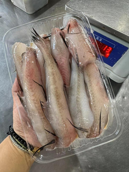 吕四本港海鲜 商品图8