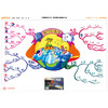《全景图解百科全书：思维导图启蒙典藏中文版》（全16册） 商品缩略图4