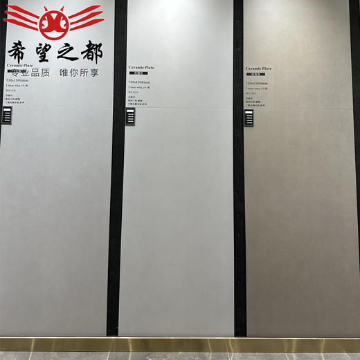 瓷砖地板客厅5750x1500地砖度水泥数码细干粒侘寂风素色微哑光 商品图2