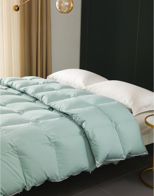 【春上新】10楼宝缦   K5雅致法国抗菌羽绒被   吊牌价3280-6280元  活动价999-1999元 商品图2