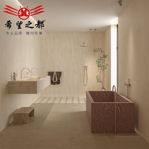 哑光300X900mm复古长条墨绿色地砖墙砖民宿法式瓷砖砖卫生间浴室 商品图1