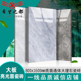 佛山通体连纹防滑瓷砖大理石广东地砖客厅大板灰色地板砖800x1600