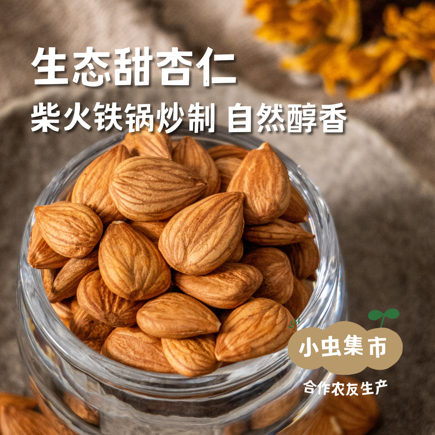 生态甜杏仁（熟）200g/罐 | 合作农友生产，产自山西大同，生产者：赵飞 &【公平贸易农人定价】