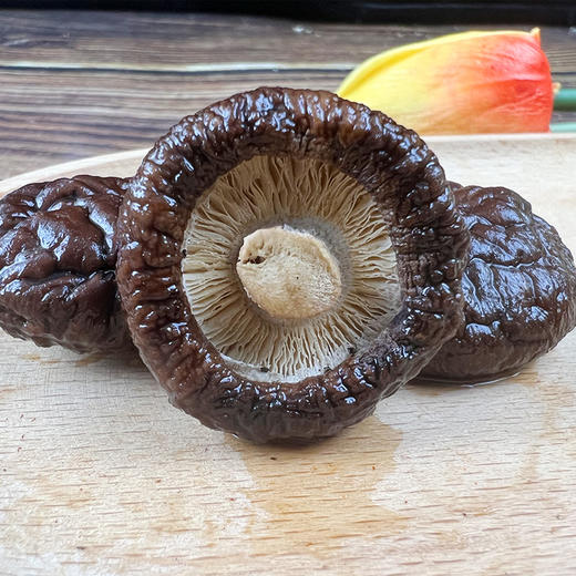 （SYJ）新货金钱菇 香菇 小香菇 100克/袋 商品图2