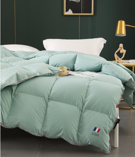 【春上新】10楼宝缦   K5雅致法国抗菌羽绒被   吊牌价3280-6280元  活动价999-1999元 商品图3