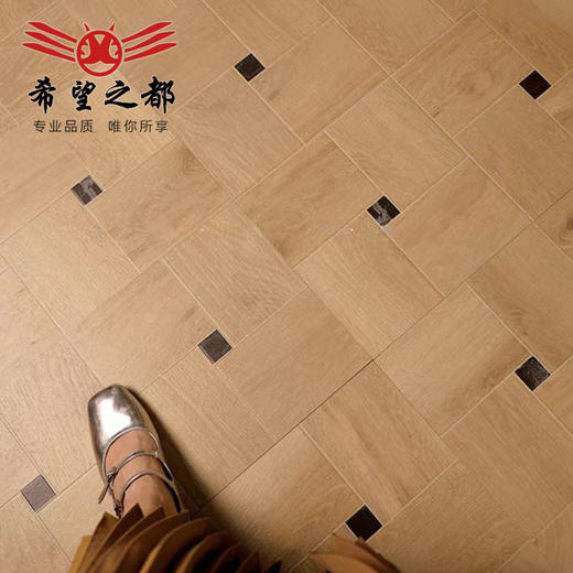 地砖瓷砖花片木纹中客厅老钱风卧室600x600拼花古风咖啡厅砖木纹 商品图1
