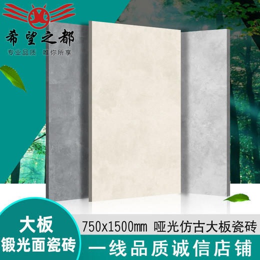 通铺客厅瓷砖锻光ins风水泥1500mm地砖釉微*卫生间 灰色墙砖750 商品图1