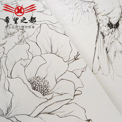 奶油厨房300x900mm瓷砖法式地砖古风黑白花砖墙砖轻中复古燕子 商品图3