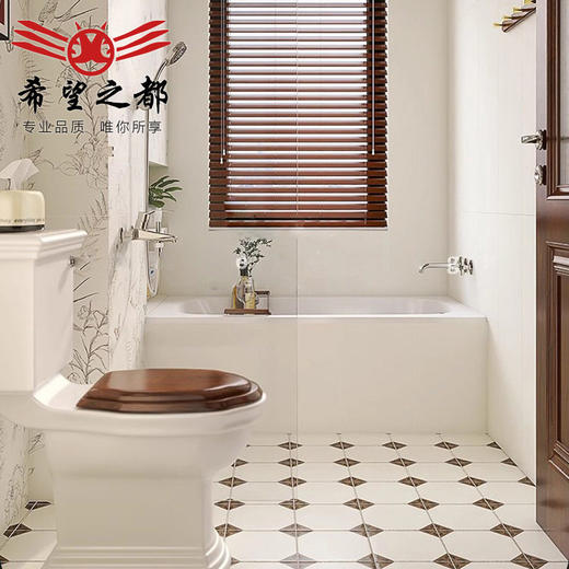 燕子游园焦法式墙砖厕所砖浴室糖色花砖古风卫生间中300x900瓷砖 商品图2