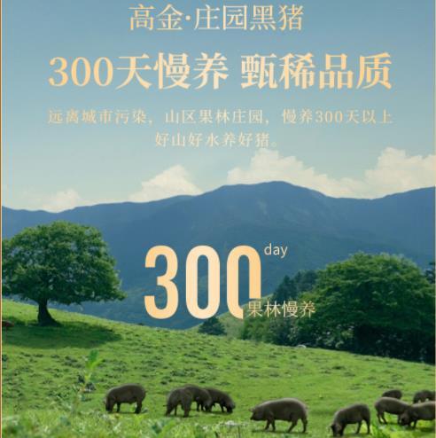 【直发】高金庄金猪拱门礼盒A款3600g 商品图1