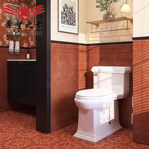 卫生间客厅地砖深红色300x1200mm瓷砖墙砖墙砖美拉德厨房复古法式 商品图0