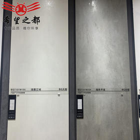 哑光地砖餐厅厨房通体卫浴750x1500素色瓷砖大板寂风微水泥客侘