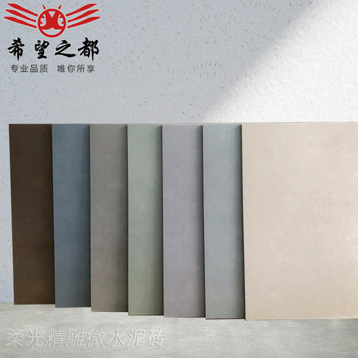 600x600微瓷砖ins水泥柔光地砖客厅厕所风浴室卫生间墙砖厨房素色 商品图0