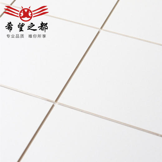 卫生间格子纯色柔光砖瓷砖 厨房浴室拉槽日式通体小白墙砖300x600 商品图3