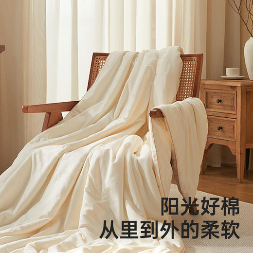 【棉疆溯源】洁丽雅丝梦蚕丝被流沙蝴蝶被超柔干爽舒适透气轻盈轻奢 商品图4