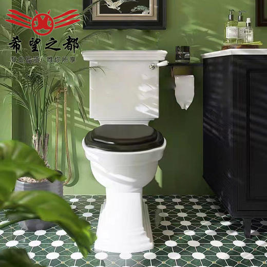 南洋卫生间墙砖厨房浴室法式花砖瓷橄榄绿地砖竹叶复古300x900风 商品图2