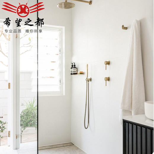 墙通体哑光度白色600x1200柔光奶油60地砖瓷砖客厅卫生间砖胚超白 商品图2