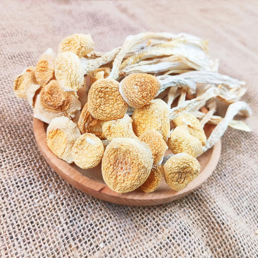 （SYJ）古田海鲜菇 100克 商品图1