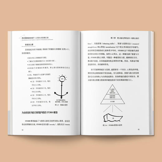 《养出情绪稳定的孩子：父母的心智觉醒之路》 商品图6