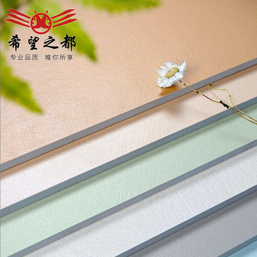 墙砖法式浴室厨房地砖瓷砖糖果侘寂风地砖釉卫生间水泥600x600微 商品图0