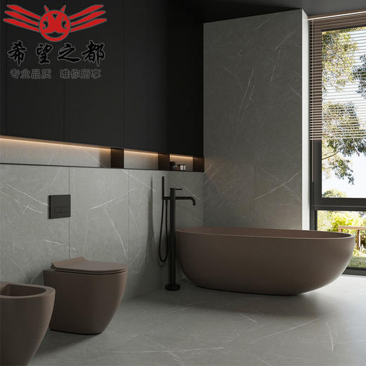 水泥侘寂风客厅750x1500奶油色地砖墙砖微 瓷砖哑光卫生间天鹅绒 商品图2