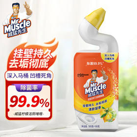 威猛先生深层洁厕啫喱750G
