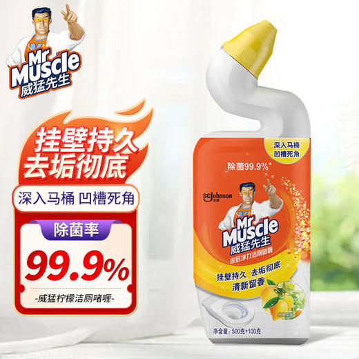 威猛先生深层洁厕啫喱750G 商品图0