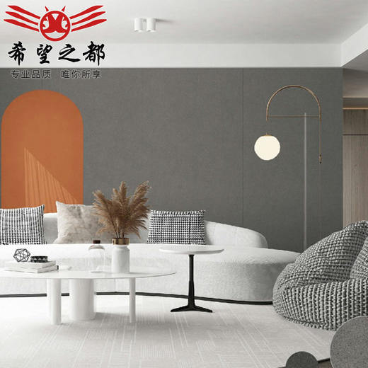 x9哑光1200x2侘寂风微光度背景墙400大板岩板瓷砖素色微水泥5别墅 商品图3