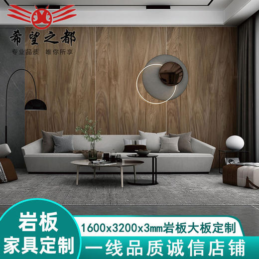 电视墙大板大理石1200大规格3200x3通体背景家具岩板客厅* 商品图0