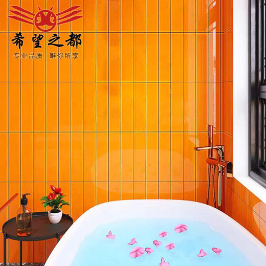 18墙砖格子厕所瓷砖格浴室300x600mm彩色风北欧马卡龙墙砖厨卫 商品图3