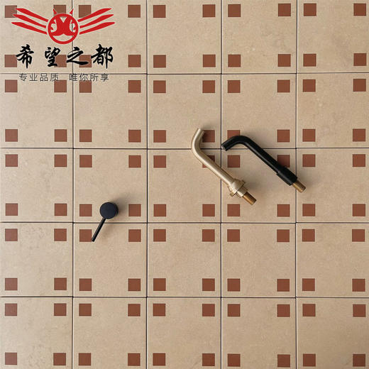 地砖复古阳台地面古风小砖卫生间玄关200x200法式厨房瓷砖中花砖 商品图2