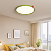 书房感灯具灯饰主卧室灯果中山包豪斯光谱灯全护眼led果灯吸顶灯 商品缩略图3