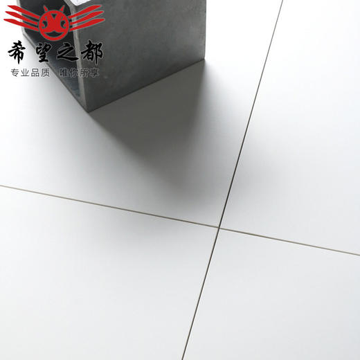 哑光奶油色通体水泥600x600微柔光仿古砖纯白卫生间瓷砖地砖 商品图3