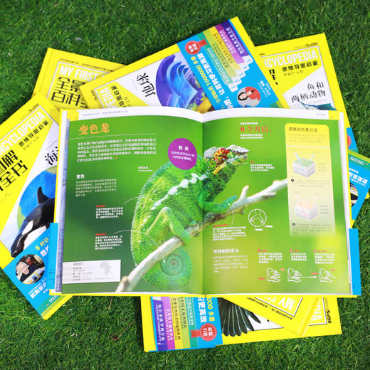 《全景图解百科全书：思维导图启蒙典藏中文版》（全16册） 商品图2