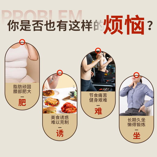 【荷叶冬瓜茶】元和堂 | 山楂决明子花茶养生茶袋泡茶包清润轻身茶 12克*15袋 元和好物 迷罗亲研 商品图2