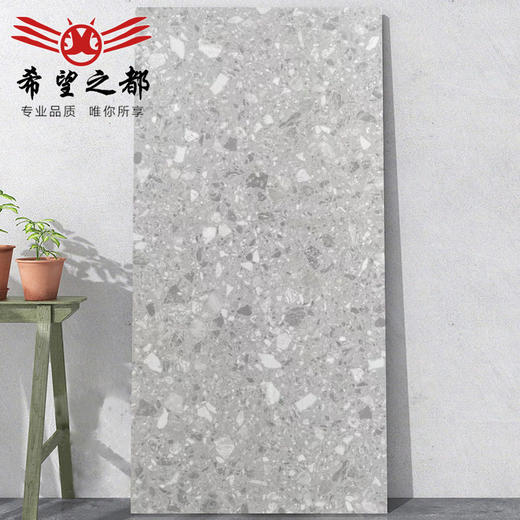 墙砖卫生间瓷砖客厅600x1200大板通体水磨石地砖商铺哑光仿古砖 商品图2