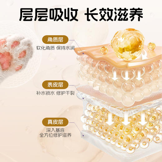 道力其牛油果润足膏15g 宠物秋冬肉垫护理 防干裂 不卖包退 商品图4
