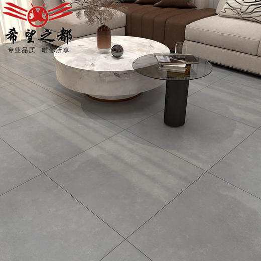 600x600微瓷砖ins水泥柔光地砖客厅厕所风浴室卫生间墙砖厨房素色 商品图1