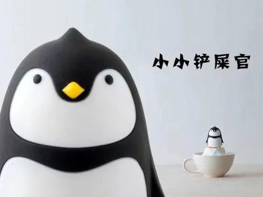 11.1/9/15/23/29/12.7/13/21【海淀·单飞/亲子·半日·自驾】企鹅铲屎官的自我修养|企鹅讲堂|与企鹅近距离互动拍照|制作饵料喂食企鹅，2H志愿时长 商品图3