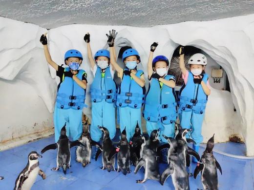 11.1/9/15/23/29/12.7/13/21【海淀·单飞/亲子·半日·自驾】企鹅铲屎官的自我修养|企鹅讲堂|与企鹅近距离互动拍照|制作饵料喂食企鹅，2H志愿时长 商品图1