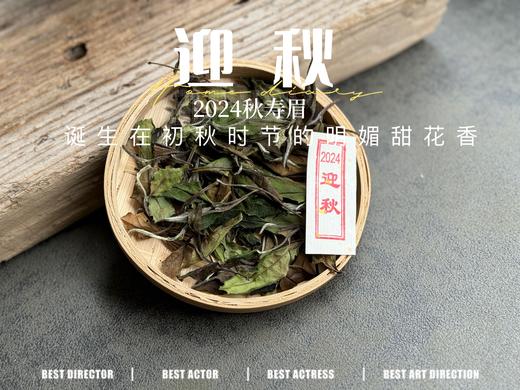 【2024秋茶来了】2024迎秋，甜花香太浓郁了，太香甜了，汤水比往年更加稠滑（1斤收藏装） 商品图0