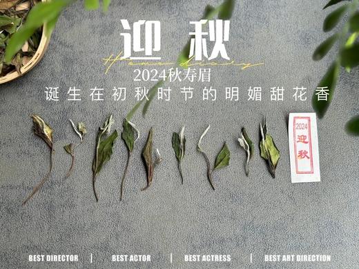 【2024秋茶来了】2024迎秋，甜花香太浓郁了，太香甜了，汤水比往年更加稠滑（1斤收藏装） 商品图2