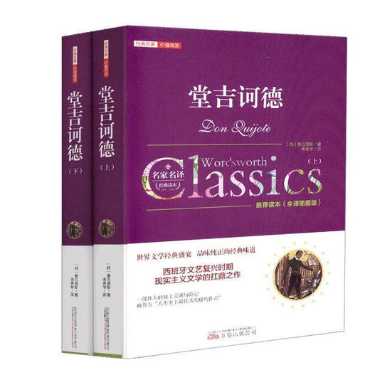 经典名著-堂吉诃德 （上、下） 商品图0