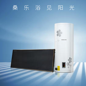 桑乐（SANGLE）智阳铜铝复合 阳台壁挂太阳能热水器 光电两用
