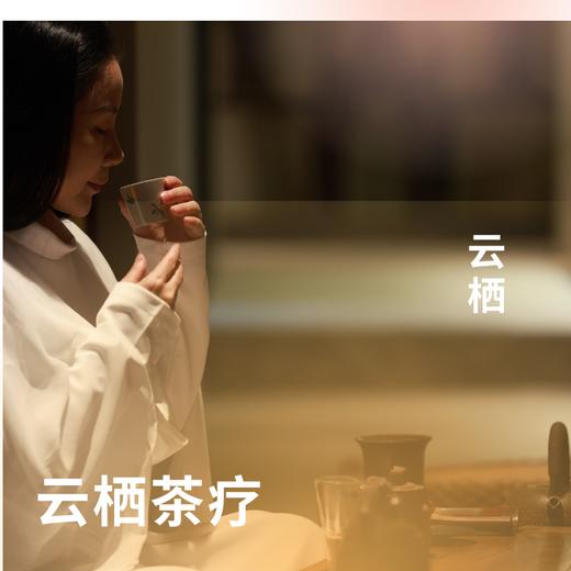 云栖茶疗 商品图0