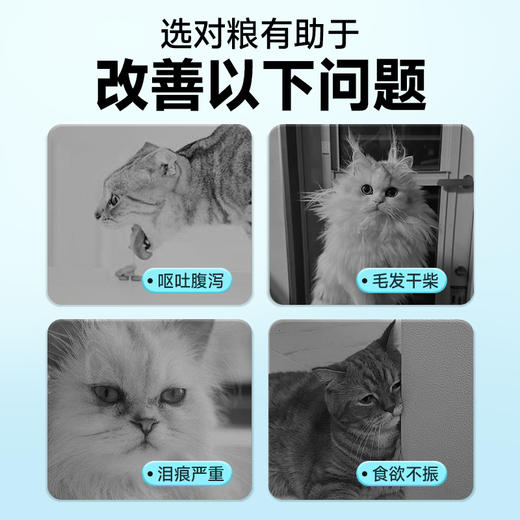 【会员专享】雷米高澳宝全价全期猫粮 营养呵护 增肥发腮 降低便臭 商品图3