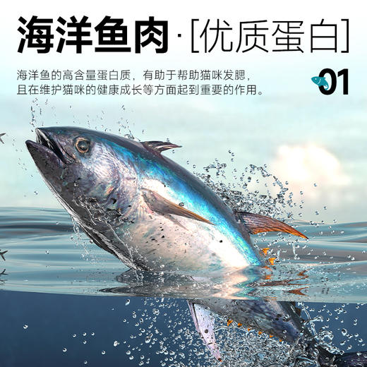 【会员专享】雷米高澳宝全价全期猫粮 营养呵护 增肥发腮 降低便臭 商品图4